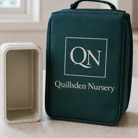 Box-Fit Lunch Bags